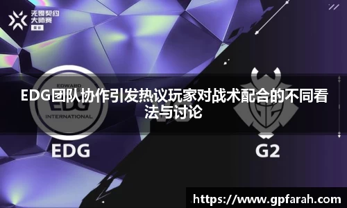 EDG团队协作引发热议玩家对战术配合的不同看法与讨论